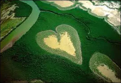 Qui a présenté l'émission documentaire "Vu du ciel" entre 2006 et 2011 ?