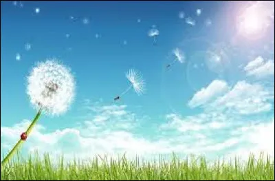 Qui a interprété "Tombé du ciel" en 1988 ?