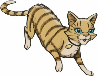 Qui est cette chatte ?