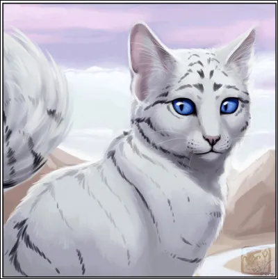 Qui est cette chatte ?