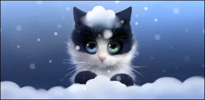 Qui est cette chatte ?