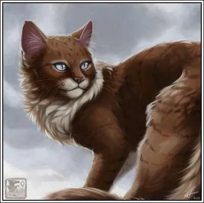 Qui est cette chatte ?