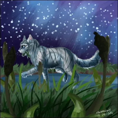 Qui est cette chatte ?