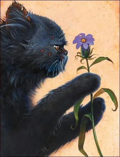 Qui est cette chatte ?