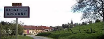 Nous sommes dans le Grand-Est, à l'entrée de Gesnes-en-Argonne. Petit village de 57 habitants, dans l'arrondissement de Verdun, il se situe dans le département ...