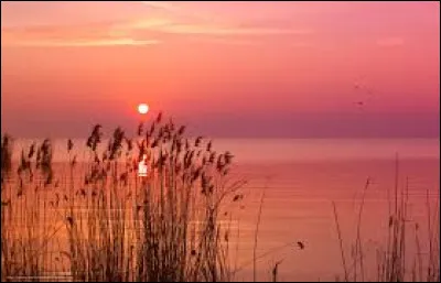 Quel acteur est à l'affiche du film "Tous les matins du monde" ?