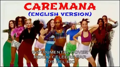 En 1996, il fallait être gravement mal-entendant pour ne point ouïr le "tube de l'été" de "Los del Rio" et leur chorégraphie fracassante d'originalité... C'était quoi, le titre, déjà ?