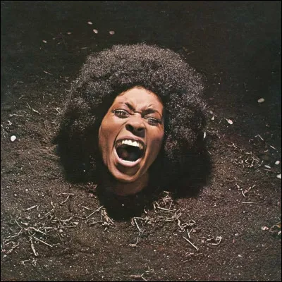 Cet album de 1971 signé par le groupe de George Clinton est très connu. Saurez-vous retrouver son nom complet ainsi que le nom du groupe ?