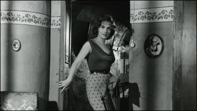 Comment se nomme ce film ?