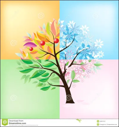 Quelle est ta saison favorite ?