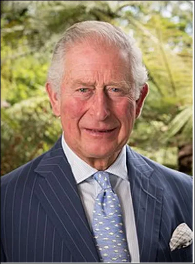 Quel est le roi actuel du Royaume-Uni, de l'Irlande du Nord et du Commonwealth, en fonction depuis 2022 ?