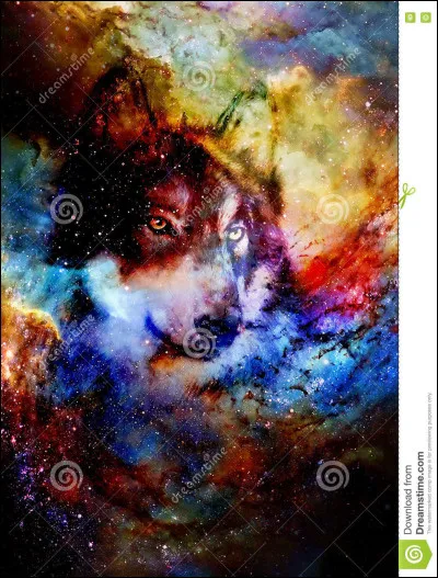 Tu préfères les loups qui sont...