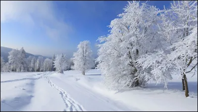 Quelle définition, parmi les suivantes, serait bonne pour le mot "nivéal" ?