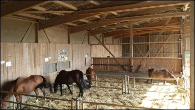 Comment appelle-t-on un paddock intérieur ?