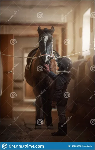 Quand le cheval vit dans des box il vit aussi en...