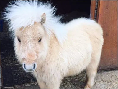 Tu veux que ta photo soit...