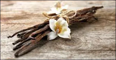 À qui doit-on ses paroles : "Parfum de vanille (parfum de vanille)/ Amour qui pétille (amour qui pétille)" ?