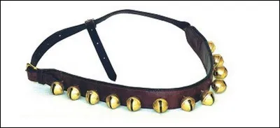 Quelle image peut-on associer à cet objet ? 