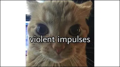 Quelle est ta façon de gérer les conflits ?