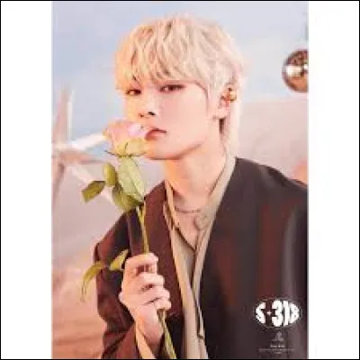 À part chanteur il est aussi :