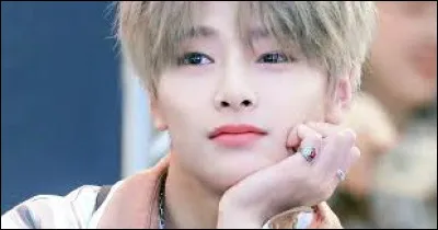 Son parfum de glace préféré est :