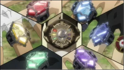 Quel est le nom de ces objets ?