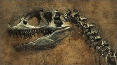 Et laquelle a déjà disparu ?