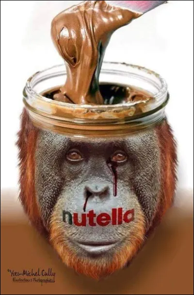Des personnes t'ont peut-être déjà dit qu'en mangeant de la pâte à tartiner "Nutella", tu tuais des orangs-outans. Sais-tu pourquoi ?