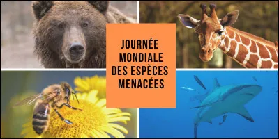 Sais-tu quelle est la date de la journée mondiale des espèces menacées ?