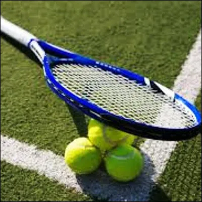 Quel joueur de tennis, surnomm&eacute; le "Super Sale Gosse", est le seul &agrave; avoir &eacute;t&eacute; num&eacute;ro 1 au classement ATP en simple et en double en m&ecirc;me temps ?