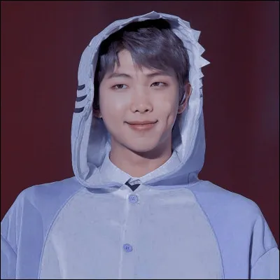 Combien de peluches RM dit-il avoir dans sa chambre ?