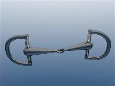 Comment s'appelle ce type de mors ?