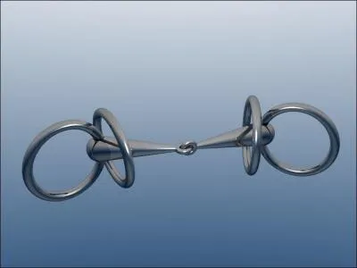 Comment s'appelle ce type de mors ?