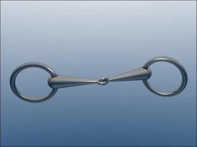 Comment s'appelle ce type de mors ?