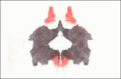 À quoi te font penser ces taches ?