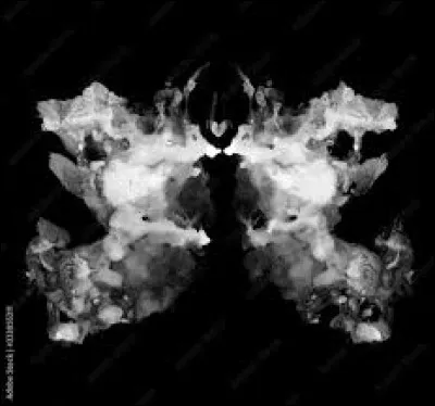 À quoi te font penser ces taches ?