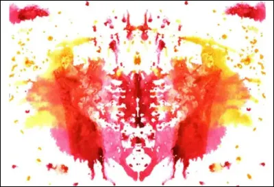 À quoi te font penser ces taches ?