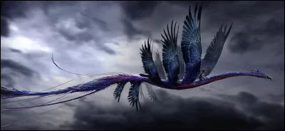 Quel animal extraordinaire préfères-tu ?