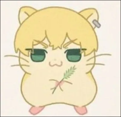 Il idolâtre le chef de la première division...