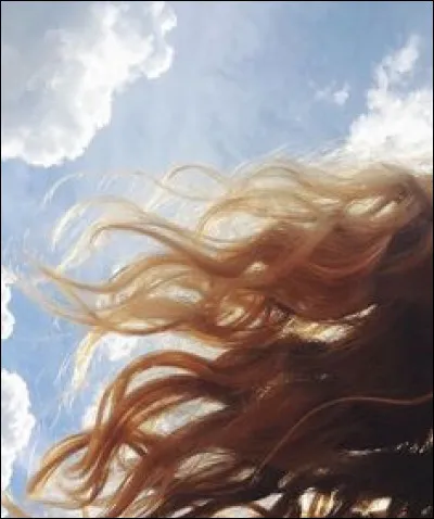 Qui chante "Avec ma gueule de métèque, de juif errant, de pâtre grec et mes cheveux aux quatre vents..." ?