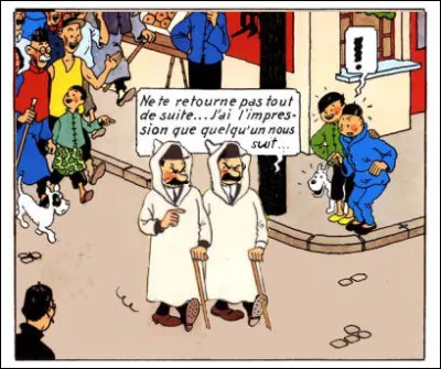 "Le Lotus Bleu" > Qui osera dire que l'un des deux détectives, au moins, n'a pas une once d'intuition ?