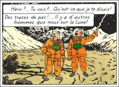 "On a marché sur la Lune" > Pour une fois, les Dupondt ont respecté scrupuleusement les consignes ! Mais est-ce bien sûr ?