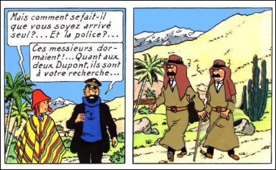 "Le Temple du Soleil" > Comme le dit si bien le capitaine, les Dupondt sont sur le pied de guerre... Y aurait-il un mais ?