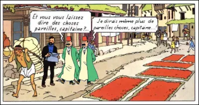 "Tintin au Tibet" > Même à une altitude démesurée, les Dupondt sont encore à pied d'oeuvre : mais sont-ils les bienvenus ici, dans un tel appareil ?