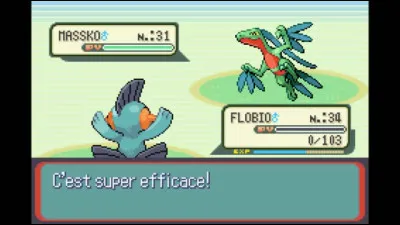 Le type Eau est très efficace sur combien d'autres types ?