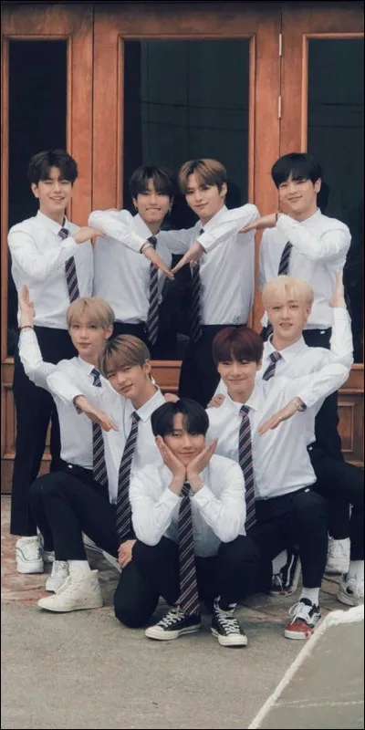 Les gens autour de toi te considèrent comme :