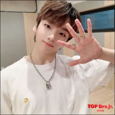 Qui prendrais-tu comme vocaliste principal ?