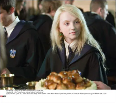 Selon le Chicaneur, qui pourrait être en réalité Sirius ?