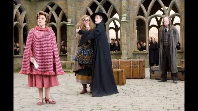 Quel devoir le professeur Trelawney demande-t-elle aux élèves de réaliser pendant un mois ?