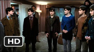 Dans HP7 quand Ron dit : "Je savais qu'elle mentait pour ton tatouage."
De qui parle-t-il ?